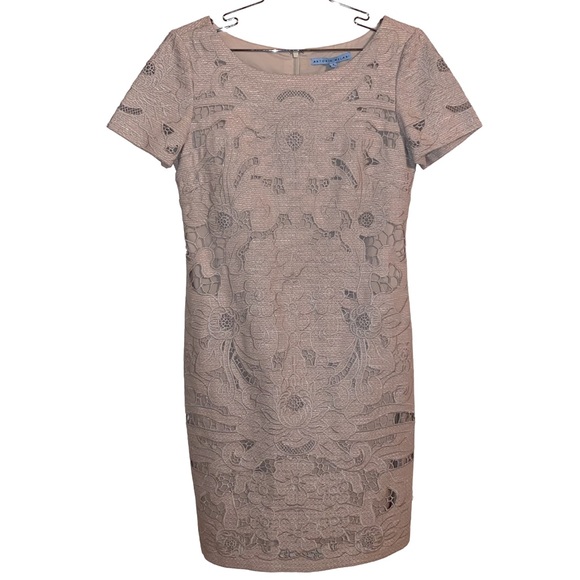 ANTONIO MELANI Dresses & Skirts - Antonio Melani dress size 4 Tan Flowers on front slip underneath design
